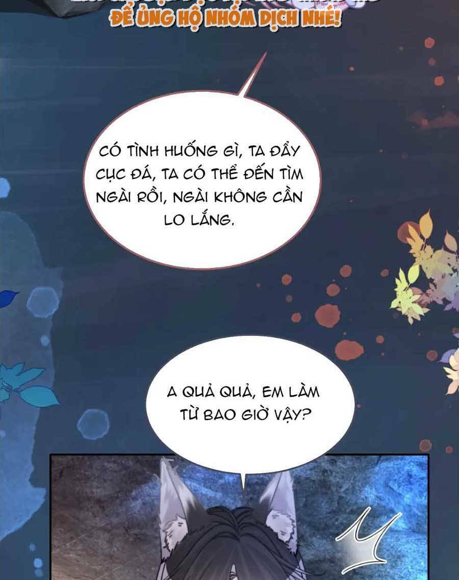 Xuyên Nhanh Nữ Phụ Bình Tĩnh Chút: Chapter 162