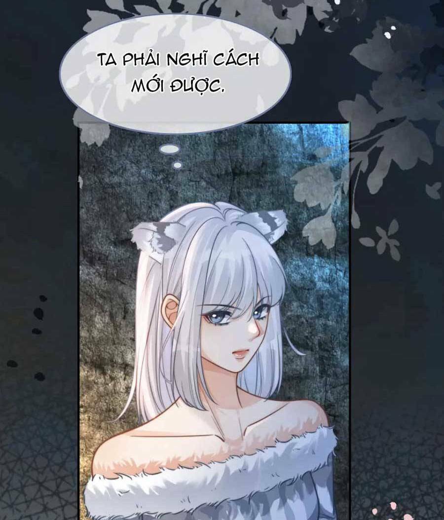 Xuyên Nhanh Nữ Phụ Bình Tĩnh Chút: Chapter 163