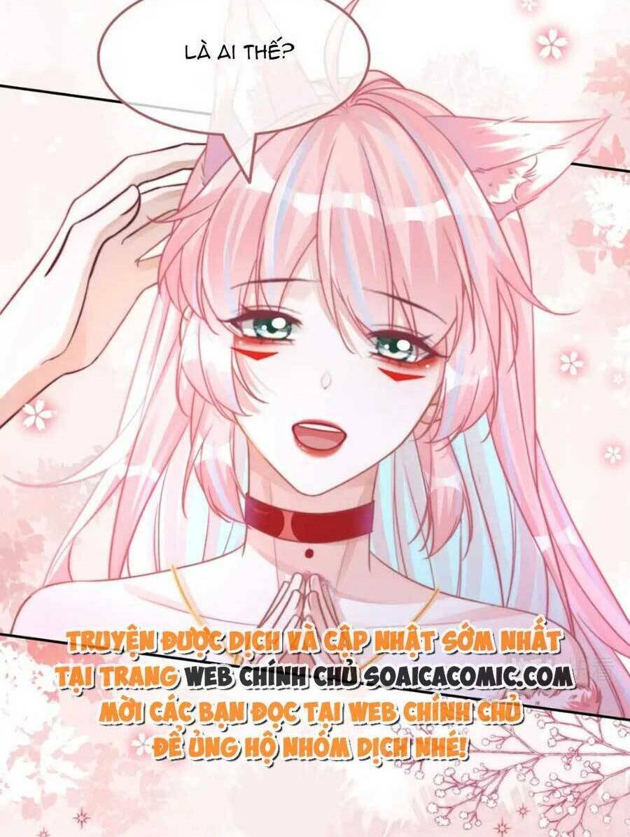 Xuyên Nhanh Nữ Phụ Bình Tĩnh Chút: Chapter 163