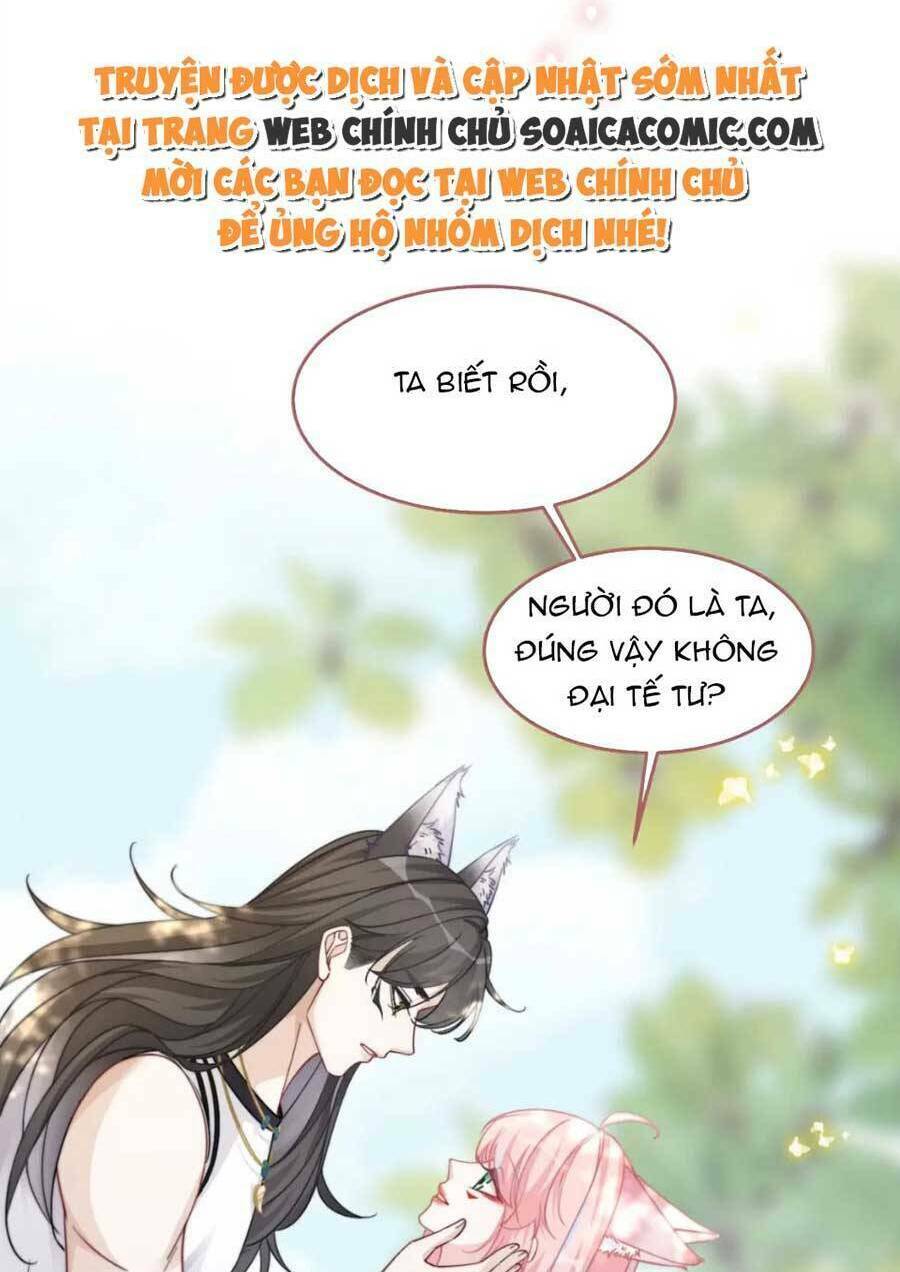 Xuyên Nhanh Nữ Phụ Bình Tĩnh Chút: Chapter 163