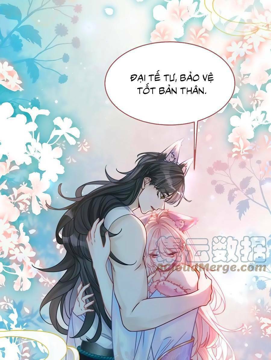 Xuyên Nhanh Nữ Phụ Bình Tĩnh Chút: Chapter 164
