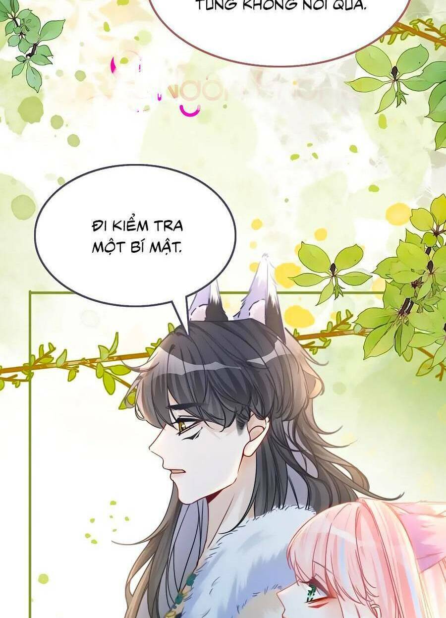 Xuyên Nhanh Nữ Phụ Bình Tĩnh Chút: Chapter 164