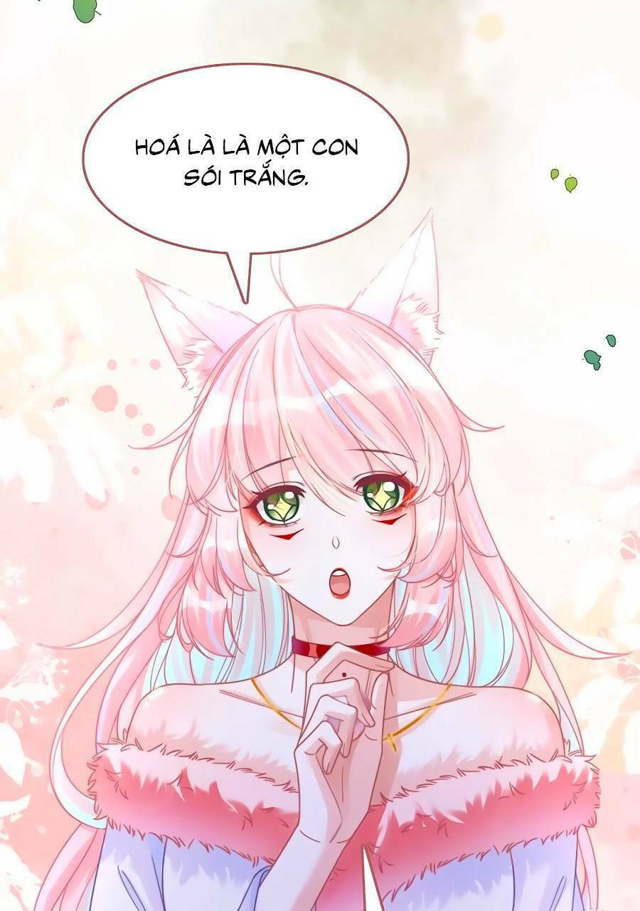Xuyên Nhanh Nữ Phụ Bình Tĩnh Chút: Chapter 164