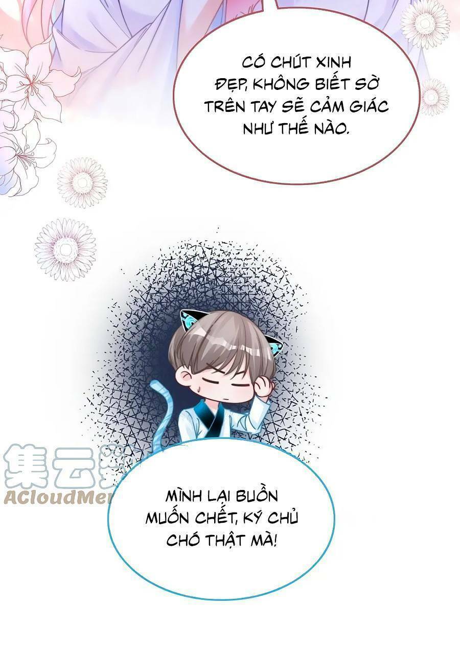 Xuyên Nhanh Nữ Phụ Bình Tĩnh Chút: Chapter 164
