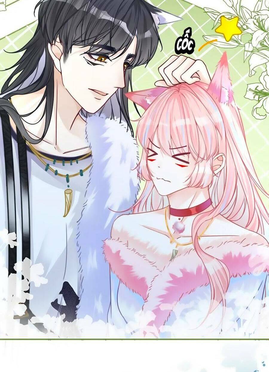 Xuyên Nhanh Nữ Phụ Bình Tĩnh Chút: Chapter 164