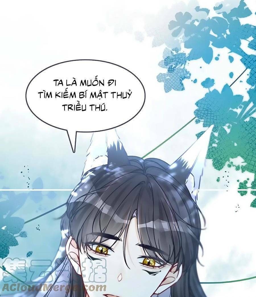 Xuyên Nhanh Nữ Phụ Bình Tĩnh Chút: Chapter 164