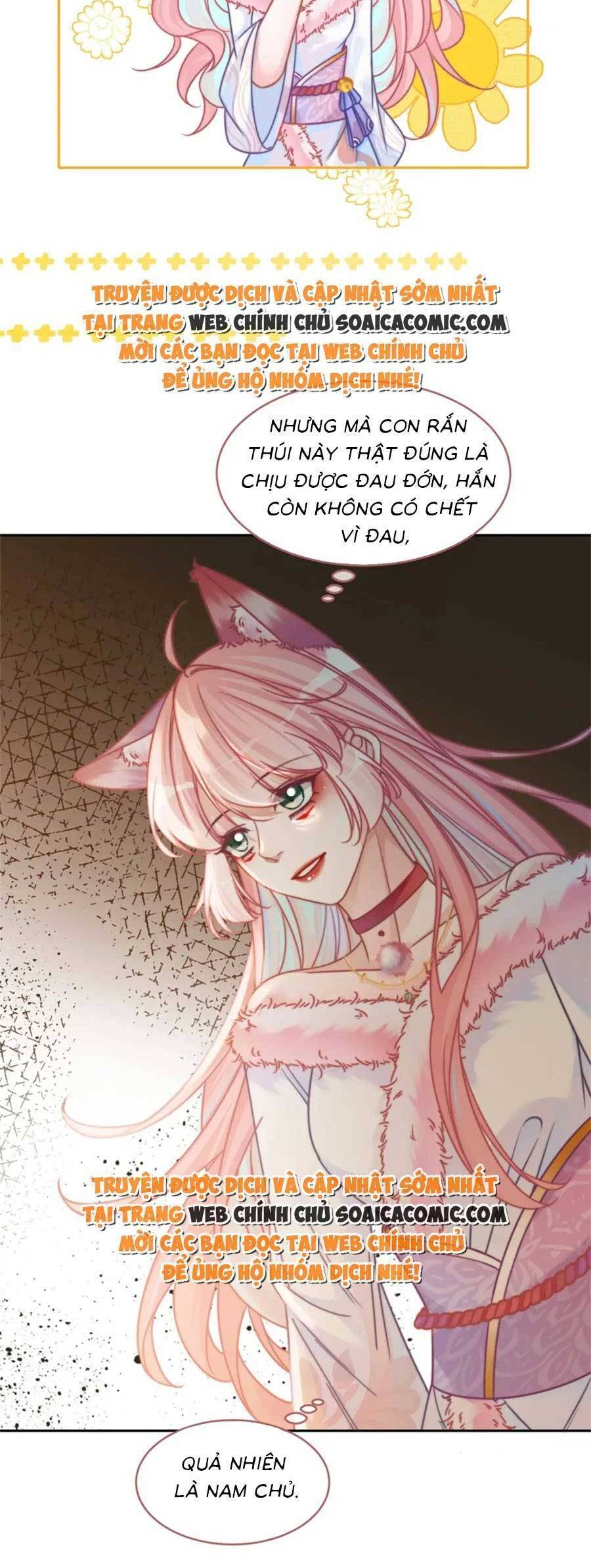 Xuyên Nhanh Nữ Phụ Bình Tĩnh Chút: Chapter 166