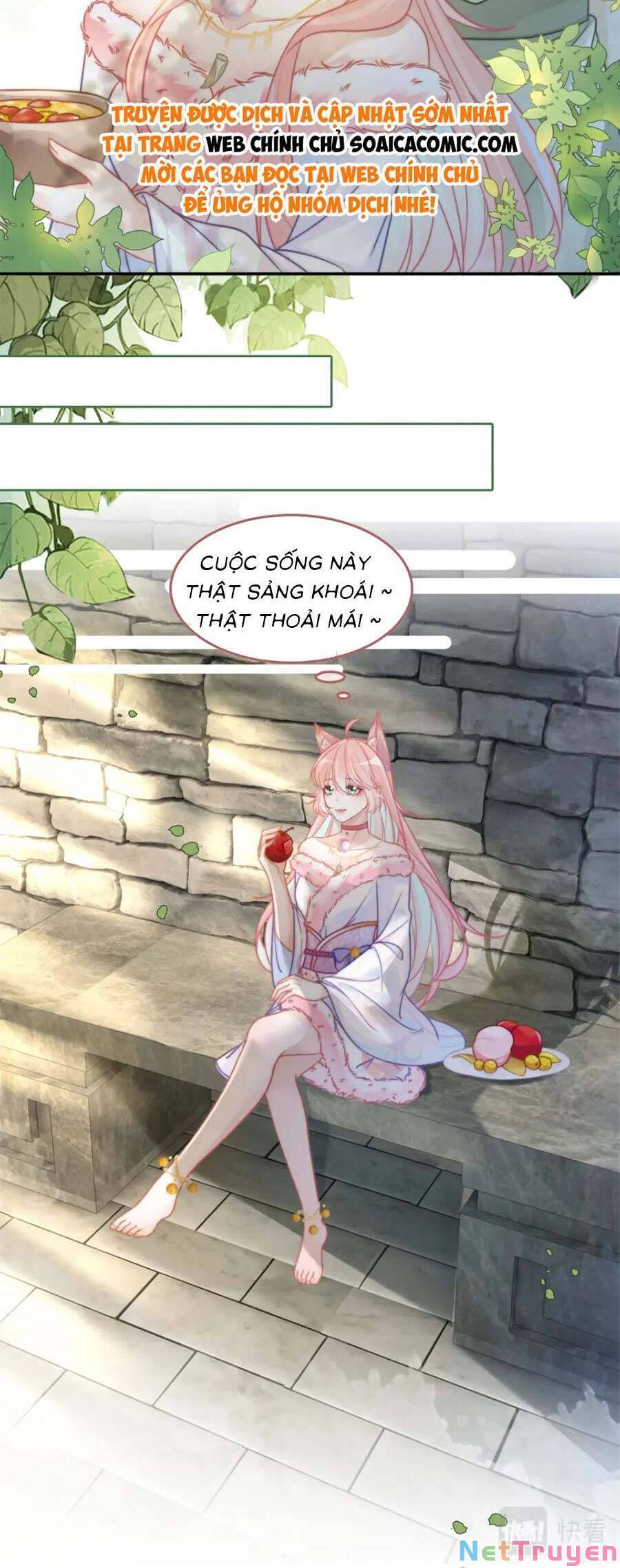 Xuyên Nhanh Nữ Phụ Bình Tĩnh Chút: Chapter 168.2