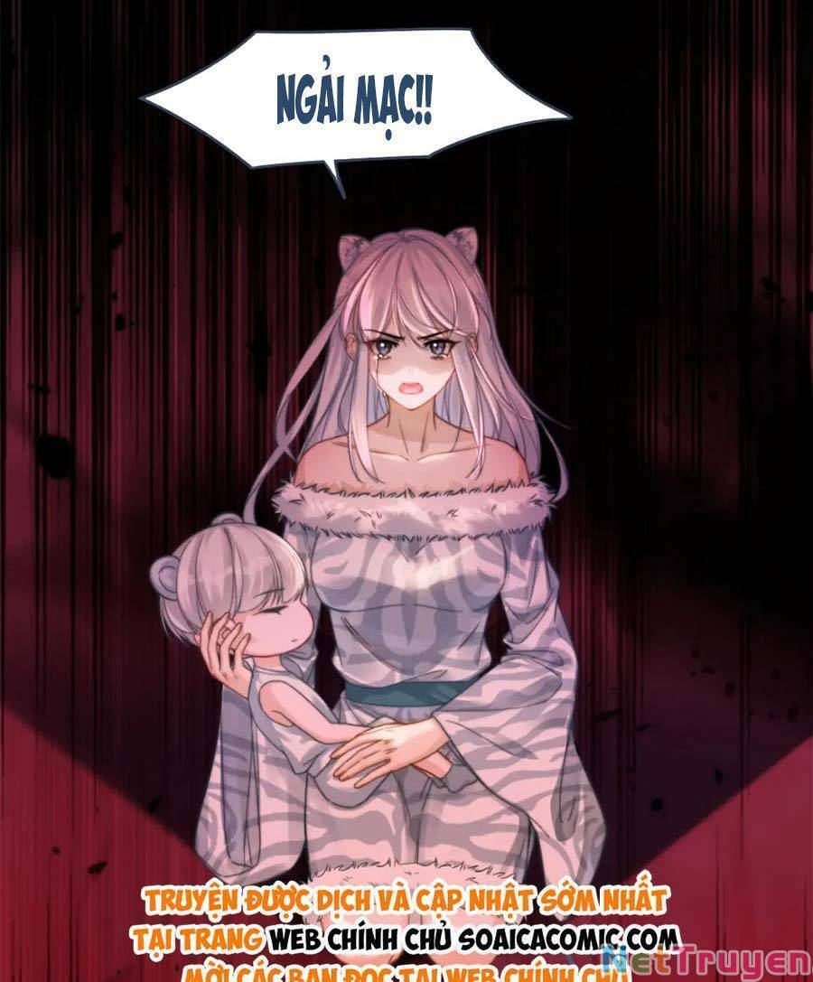 Xuyên Nhanh Nữ Phụ Bình Tĩnh Chút: Chapter 171
