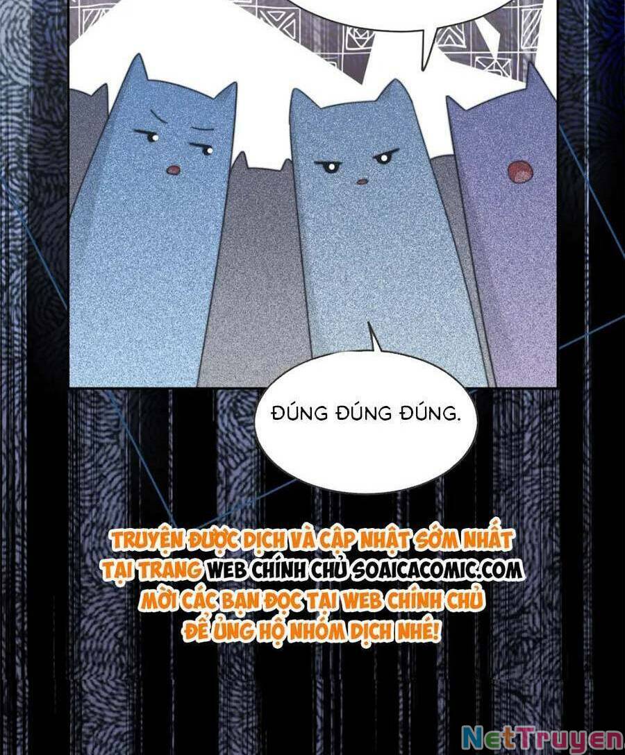 Xuyên Nhanh Nữ Phụ Bình Tĩnh Chút: Chapter 171