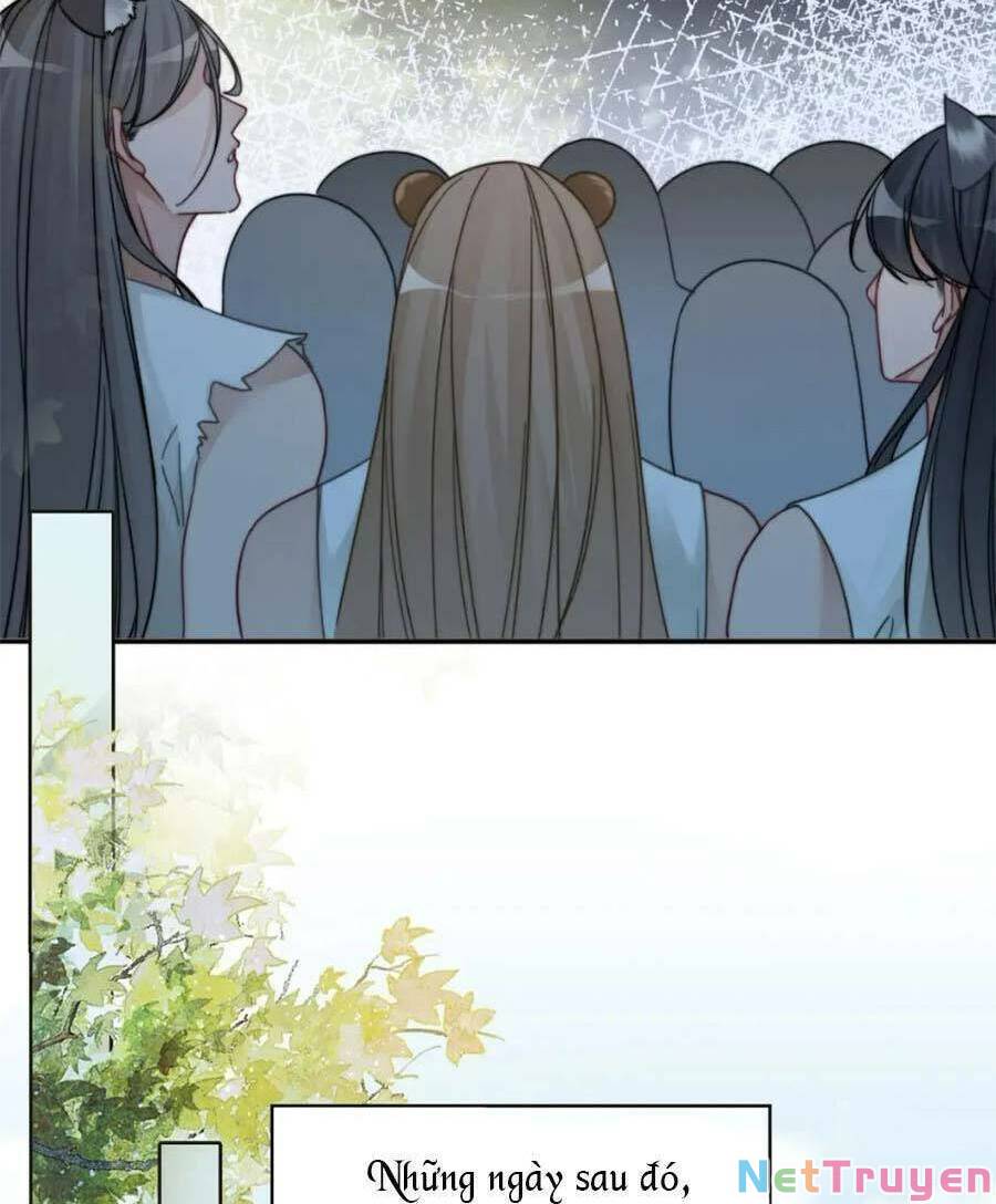 Xuyên Nhanh Nữ Phụ Bình Tĩnh Chút: Chapter 171