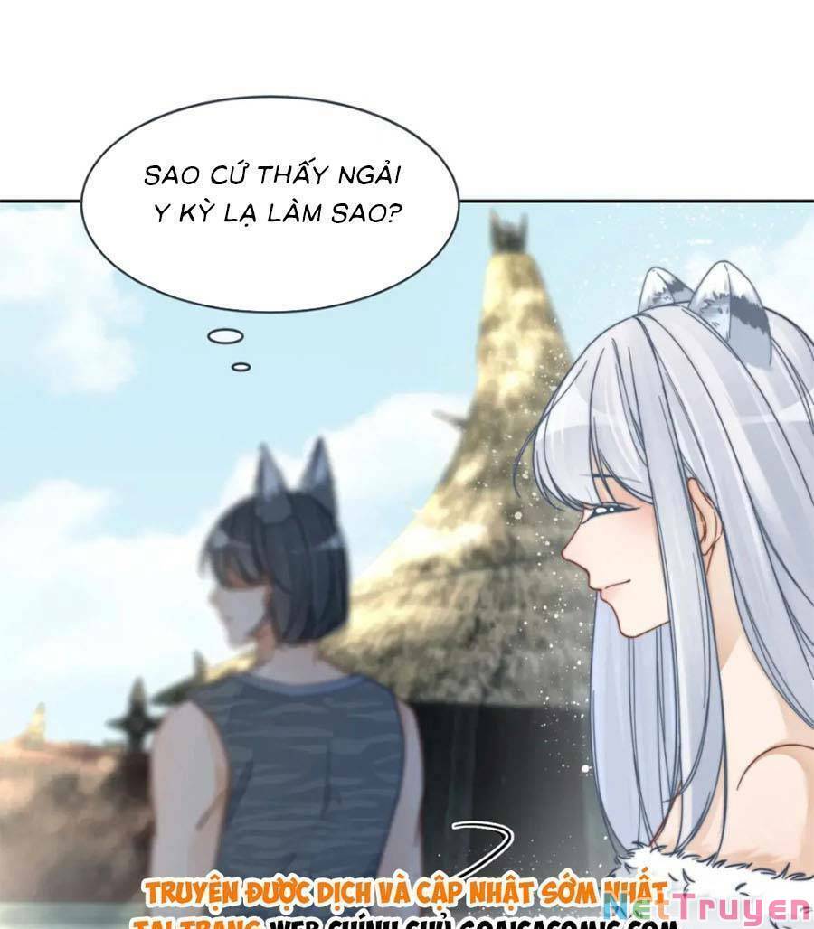 Xuyên Nhanh Nữ Phụ Bình Tĩnh Chút: Chapter 171