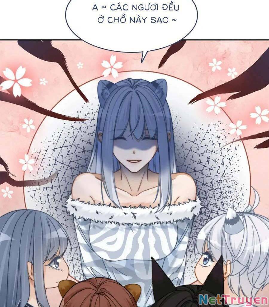 Xuyên Nhanh Nữ Phụ Bình Tĩnh Chút: Chapter 171