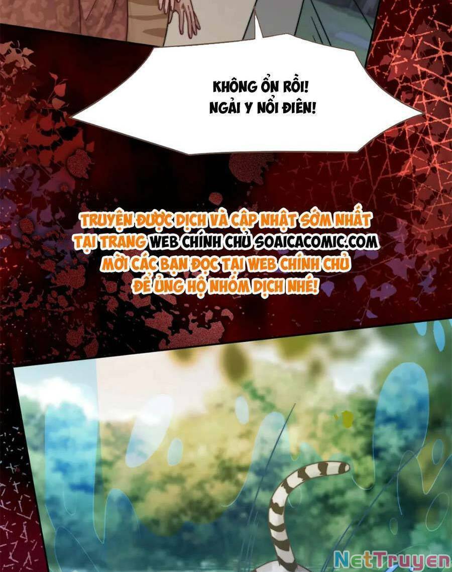Xuyên Nhanh Nữ Phụ Bình Tĩnh Chút: Chapter 171