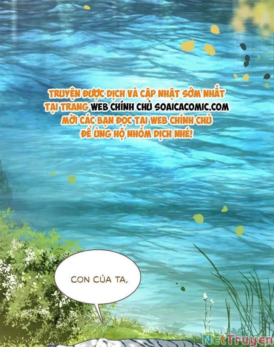 Xuyên Nhanh Nữ Phụ Bình Tĩnh Chút: Chapter 171