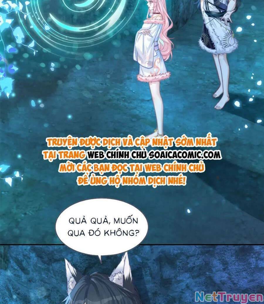Xuyên Nhanh Nữ Phụ Bình Tĩnh Chút: Chapter 171