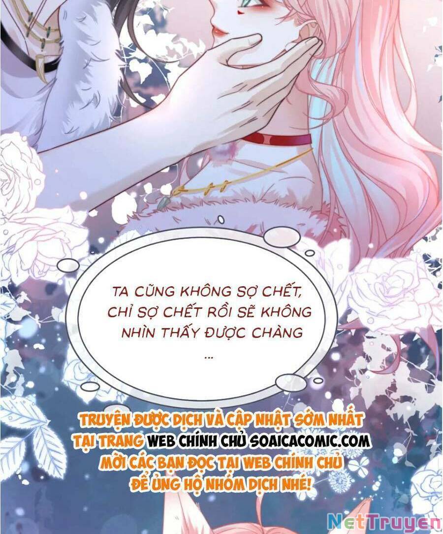 Xuyên Nhanh Nữ Phụ Bình Tĩnh Chút: Chapter 171
