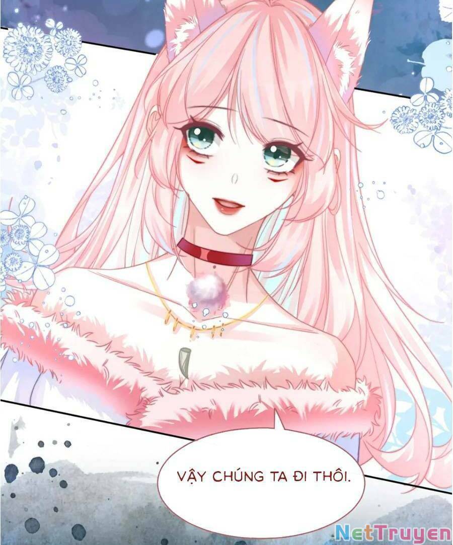 Xuyên Nhanh Nữ Phụ Bình Tĩnh Chút: Chapter 171