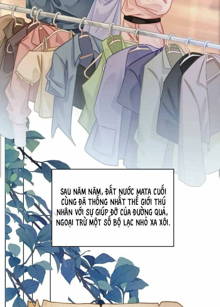 Xuyên Nhanh Nữ Phụ Bình Tĩnh Chút: Chapter 172