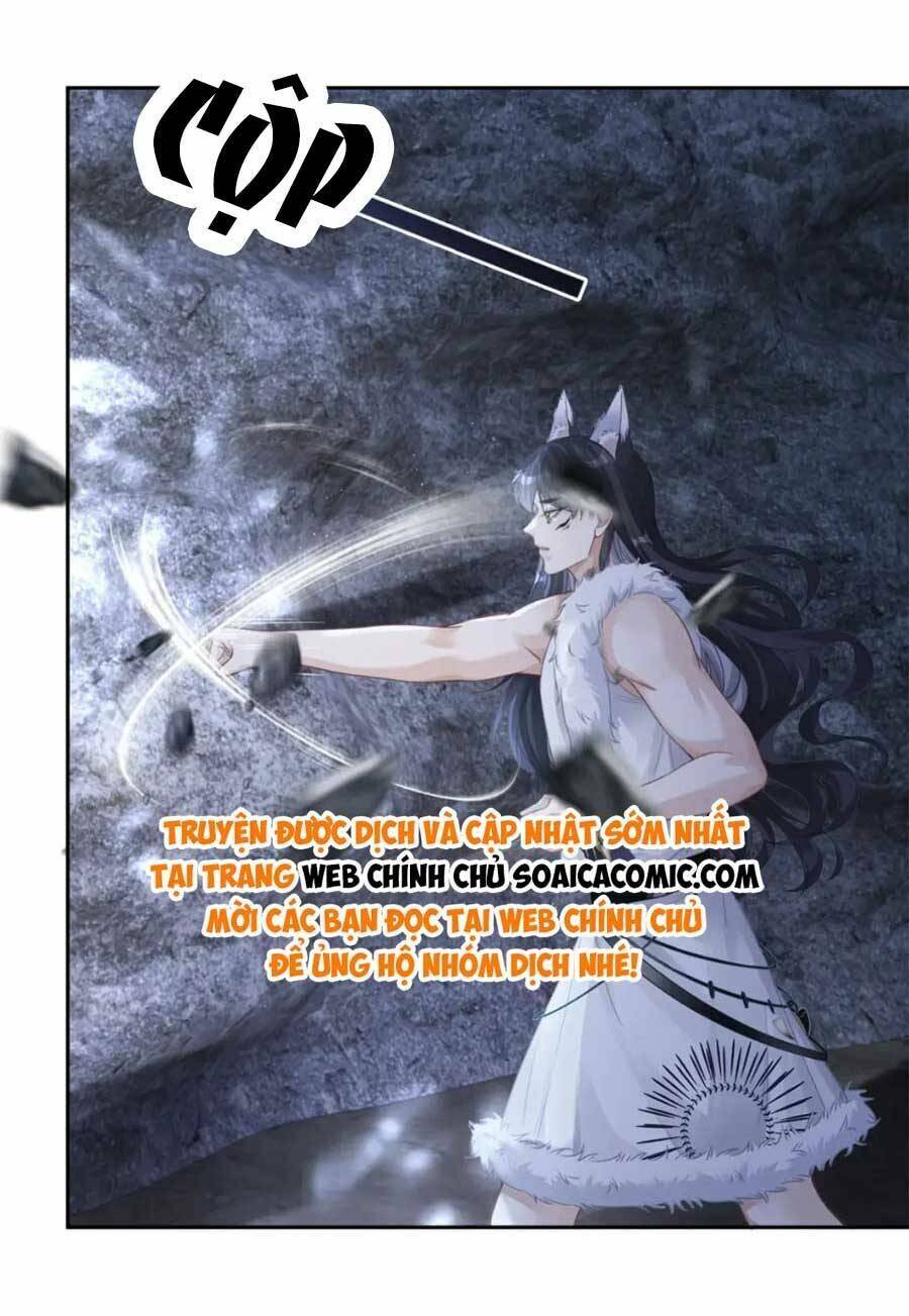 Xuyên Nhanh Nữ Phụ Bình Tĩnh Chút: Chapter 172