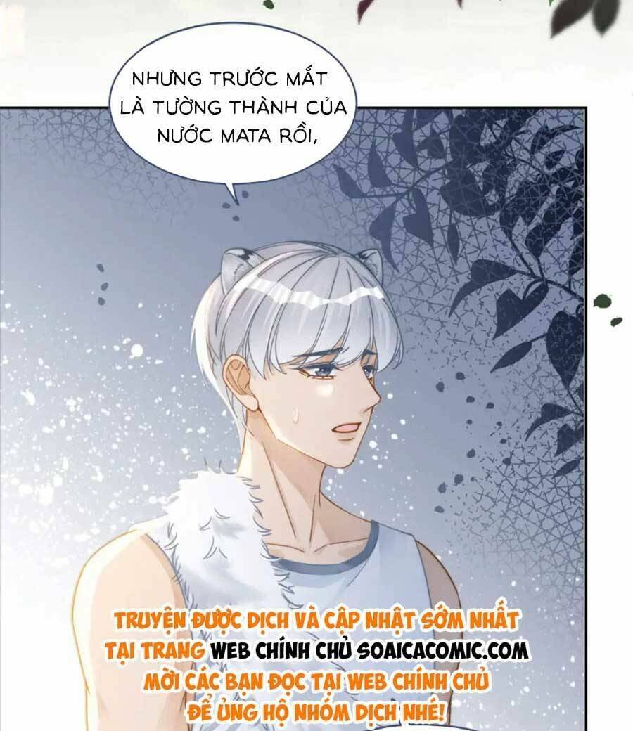 Xuyên Nhanh Nữ Phụ Bình Tĩnh Chút: Chapter 173