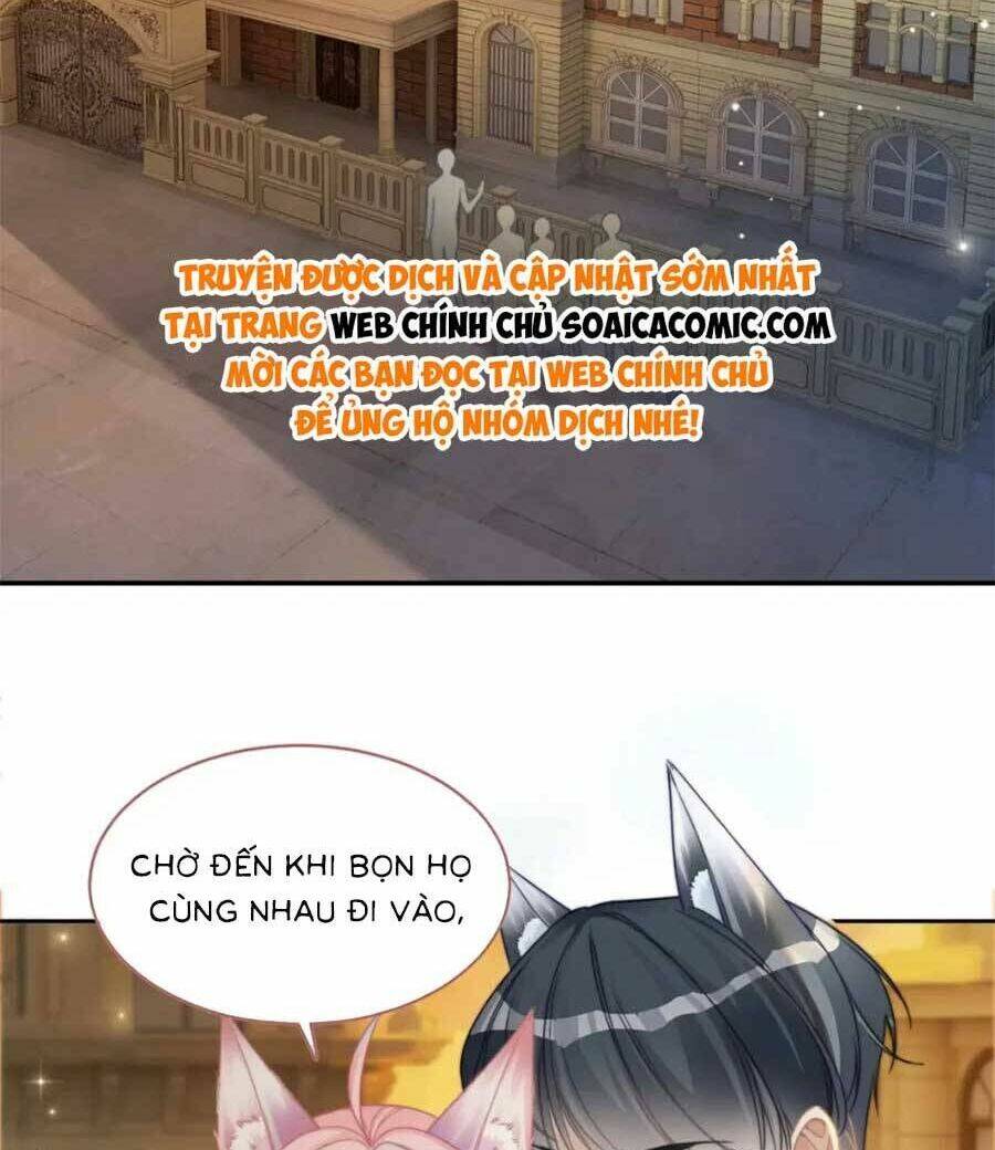 Xuyên Nhanh Nữ Phụ Bình Tĩnh Chút: Chapter 173