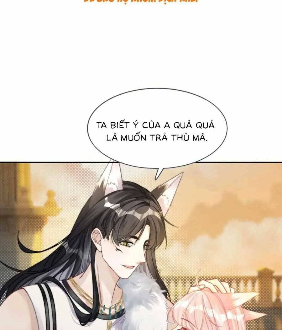 Xuyên Nhanh Nữ Phụ Bình Tĩnh Chút: Chapter 173
