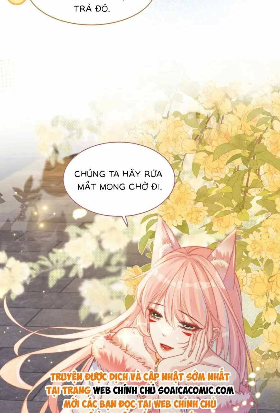 Xuyên Nhanh Nữ Phụ Bình Tĩnh Chút: Chapter 173