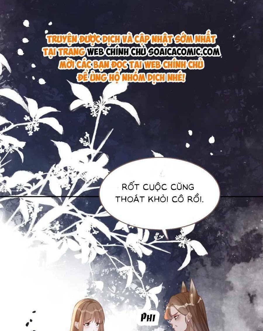 Xuyên Nhanh Nữ Phụ Bình Tĩnh Chút: Chapter 174