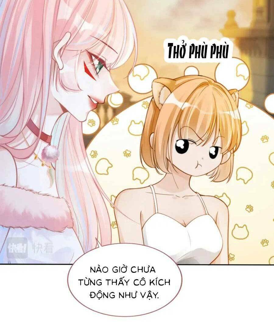Xuyên Nhanh Nữ Phụ Bình Tĩnh Chút: Chapter 174