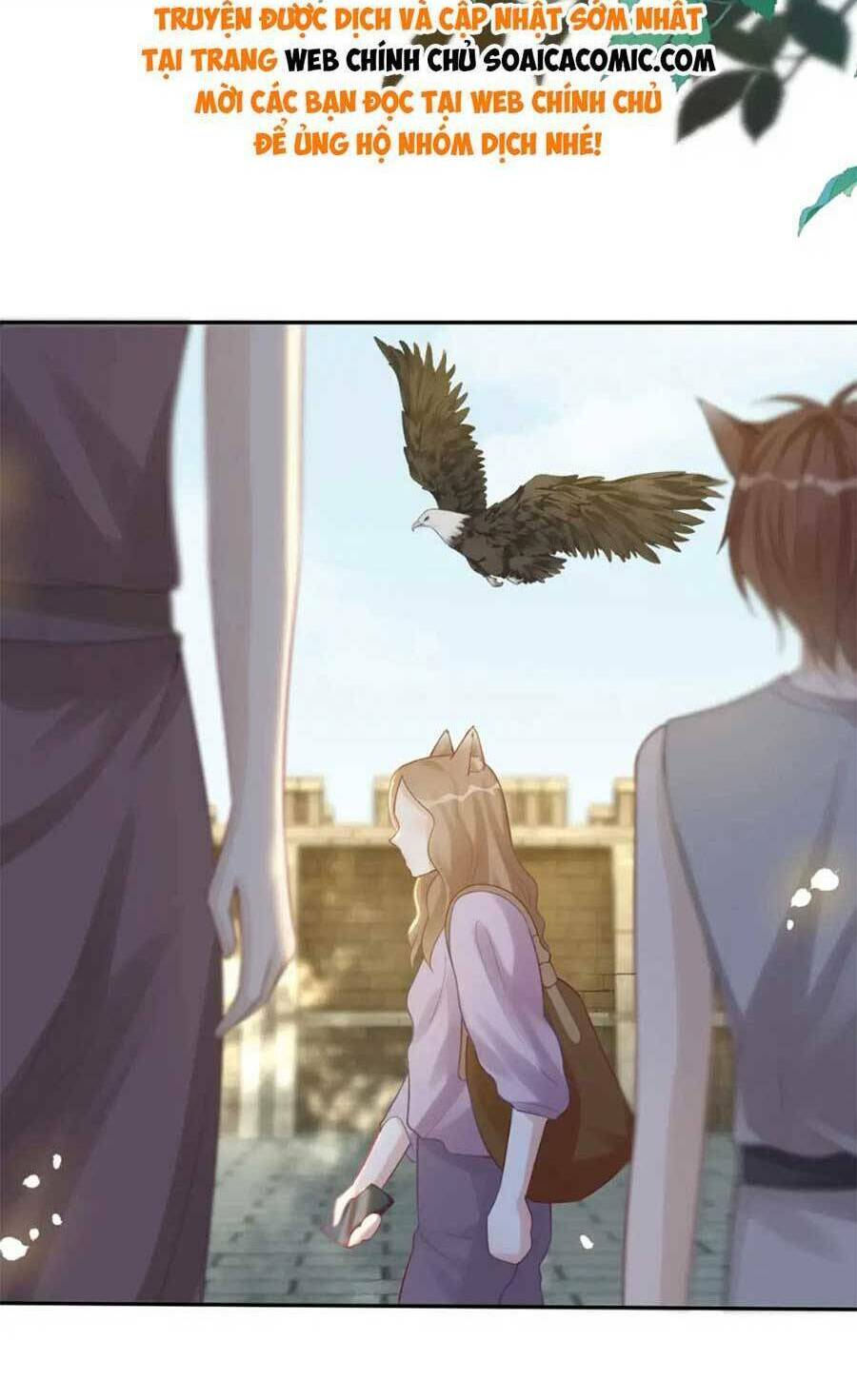 Xuyên Nhanh Nữ Phụ Bình Tĩnh Chút: Chapter 174