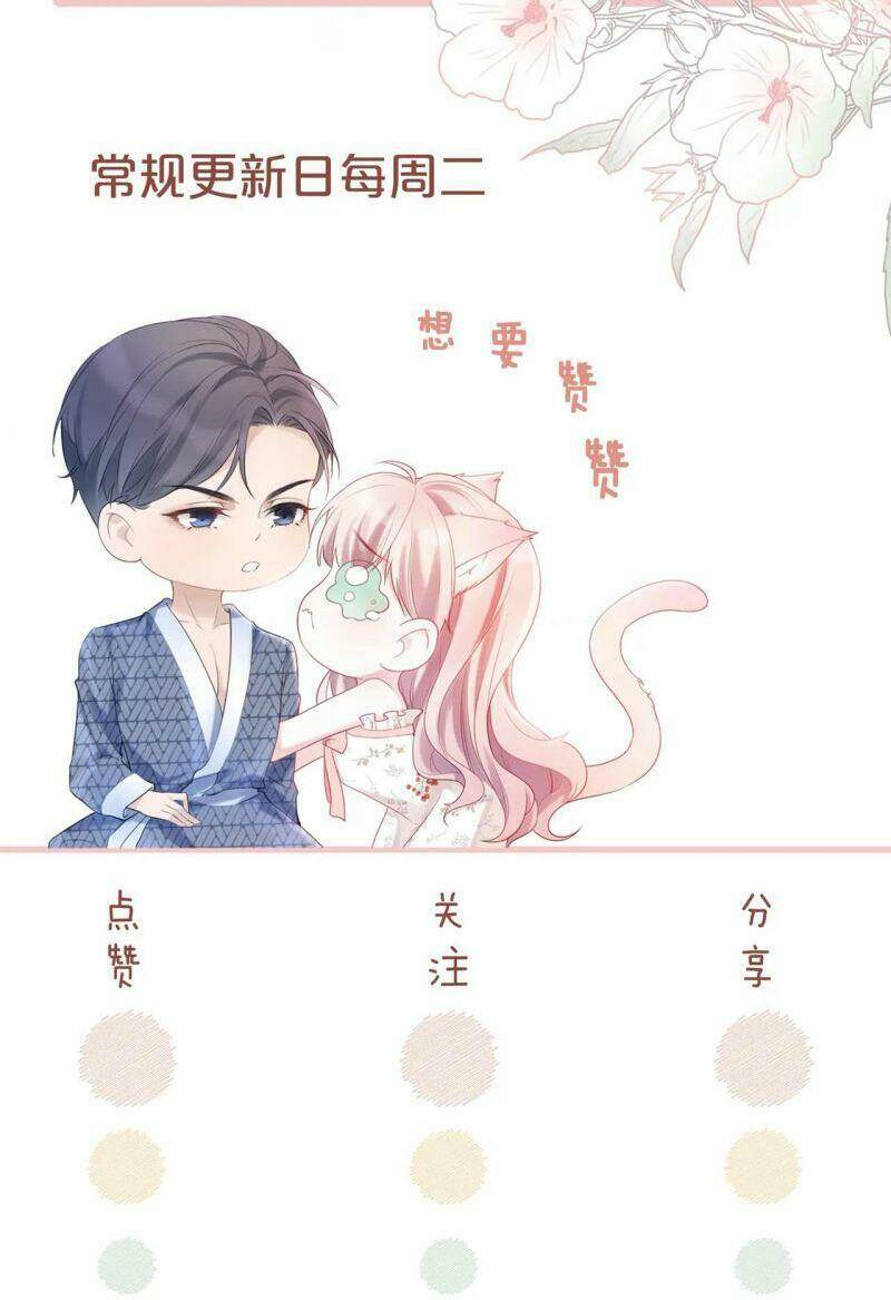 Xuyên Nhanh Nữ Phụ Bình Tĩnh Chút: Chapter 6