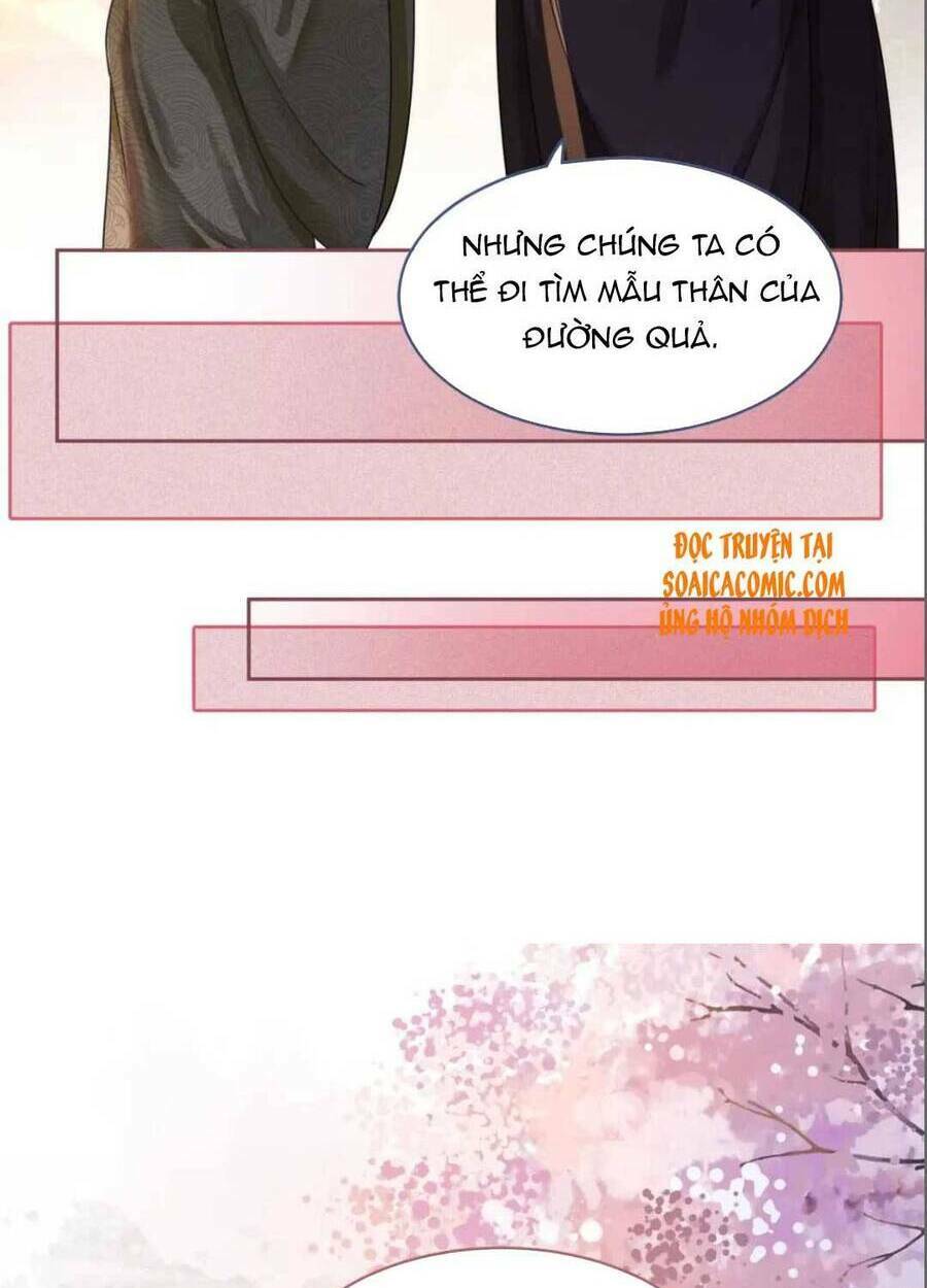 Xuyên Nhanh Nữ Phụ Bình Tĩnh Chút: Chapter 67