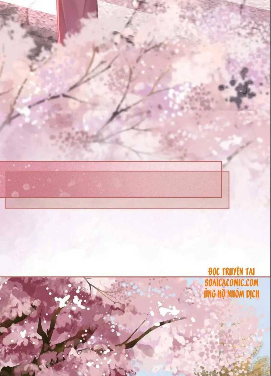 Xuyên Nhanh Nữ Phụ Bình Tĩnh Chút: Chapter 67