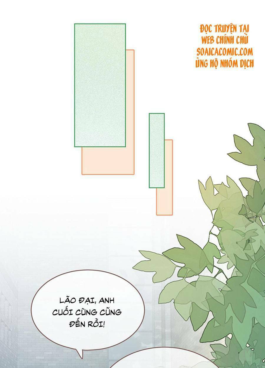 Xuyên Nhanh Nữ Phụ Bình Tĩnh Chút: Chapter 77