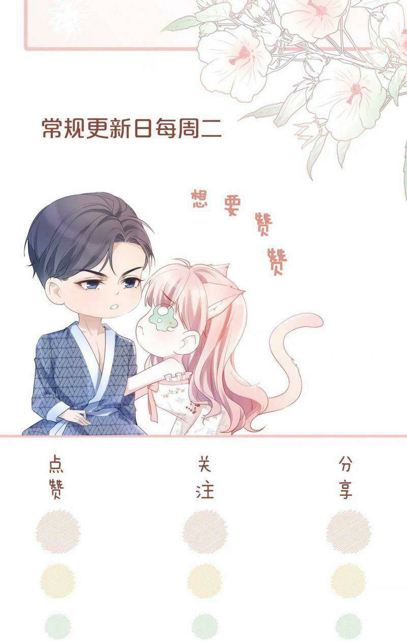 Xuyên Nhanh Nữ Phụ Bình Tĩnh Chút: Chapter 8