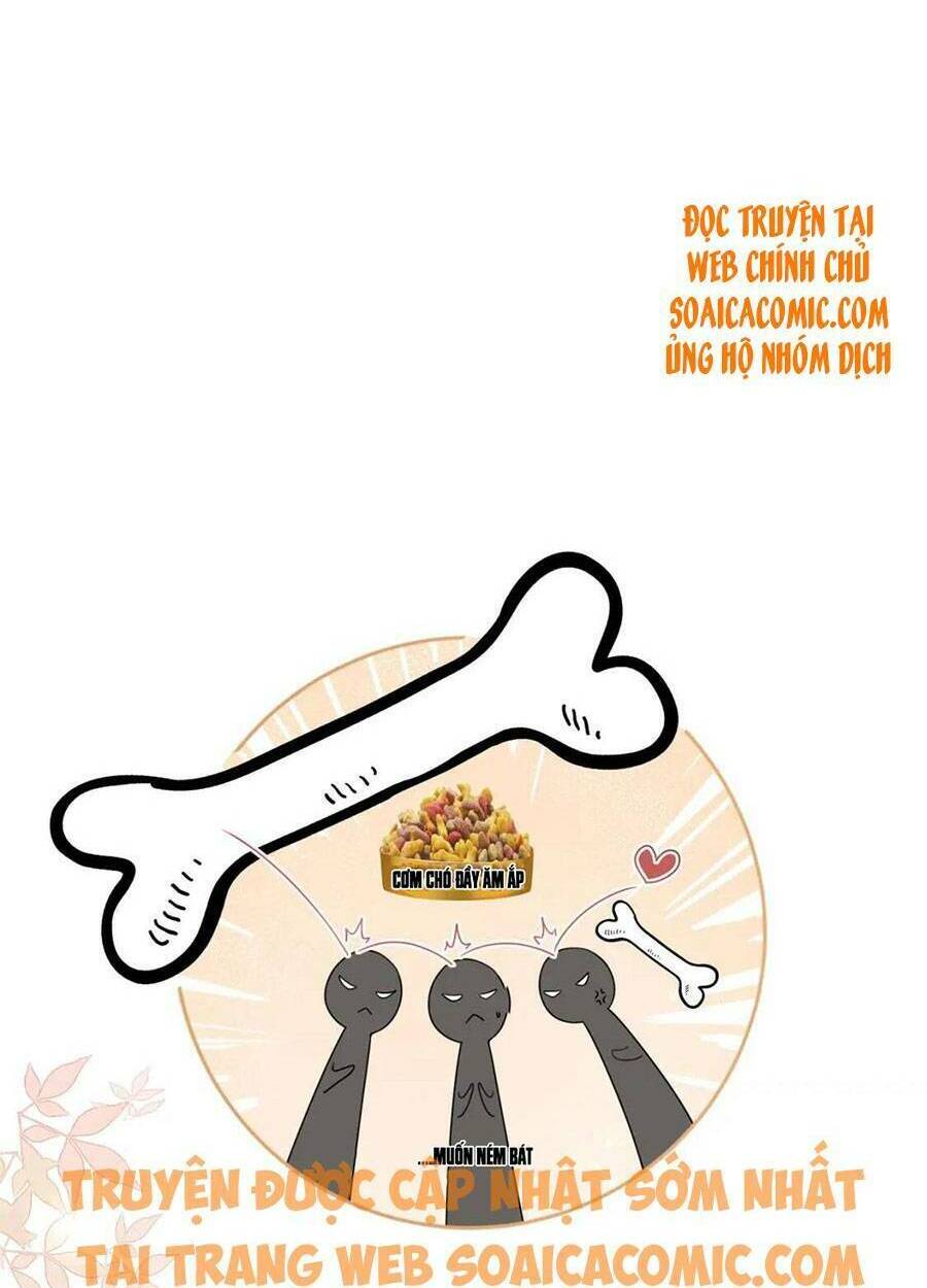 Xuyên Nhanh Nữ Phụ Bình Tĩnh Chút: Chapter 82