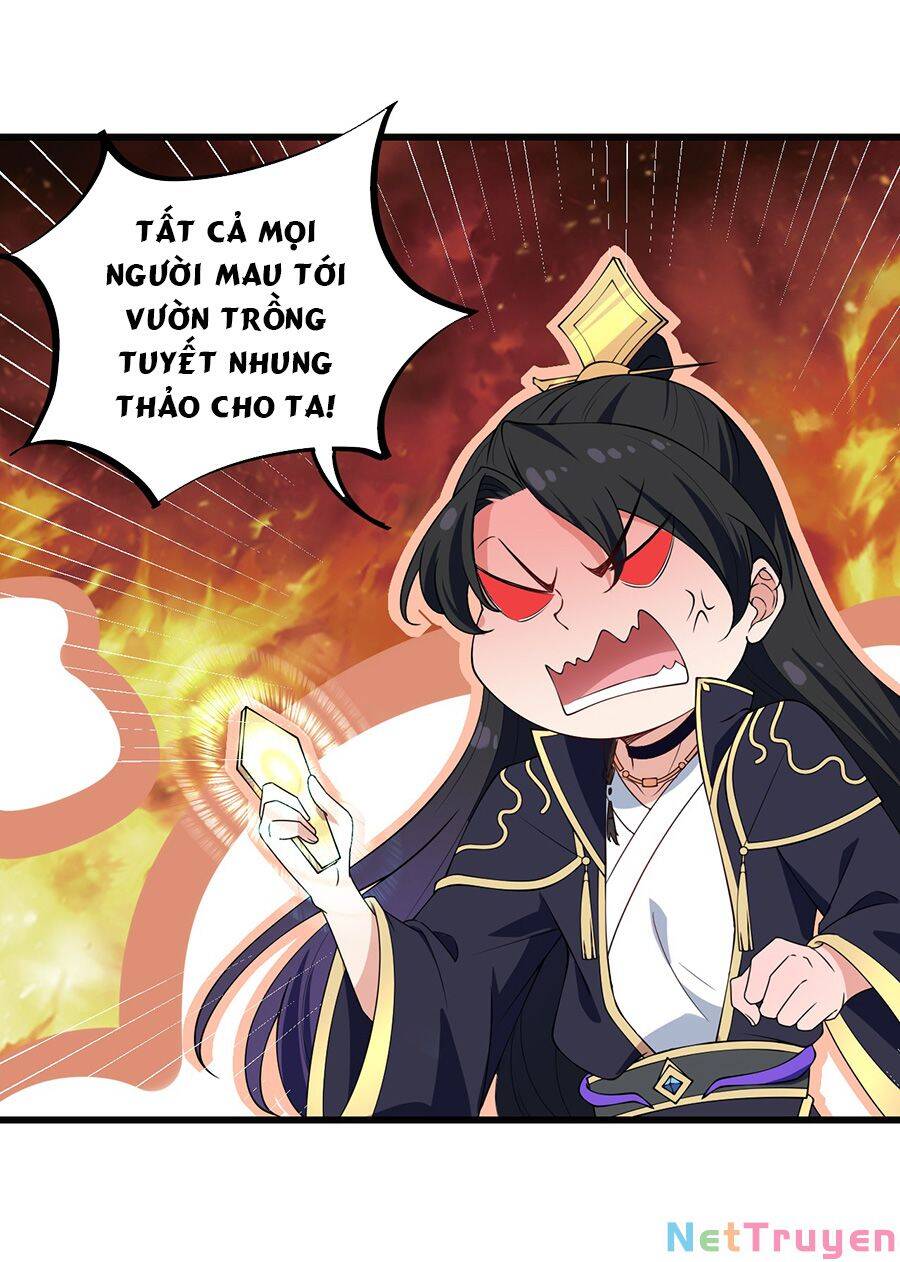 Vai Ác Sư Tôn Mang Theo Các Đồ Đệ Vô Địch Thiên Hạ: Chương 2