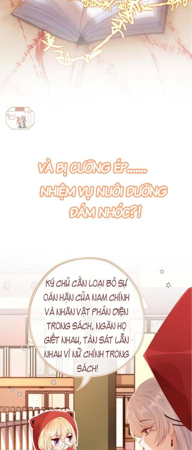 Nam Chính Và Nhân Vật Phản Diện Tôi Nuôi Đều Không Đứng Đắn: Chapter 0
