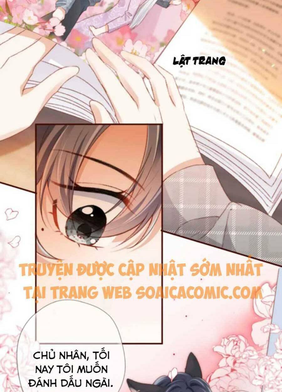 Nam Chính Và Nhân Vật Phản Diện Tôi Nuôi Đều Không Đứng Đắn: Chapter 34