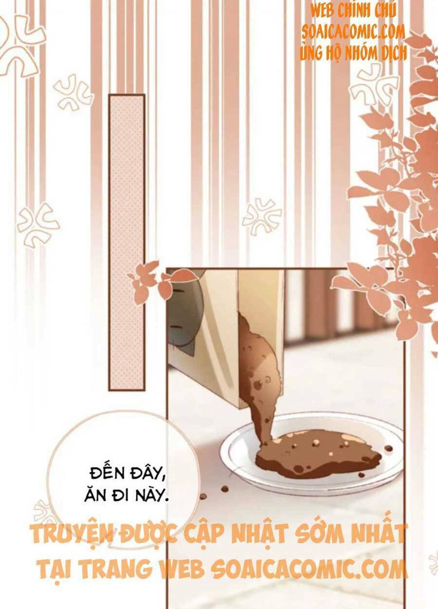 Nam Chính Và Nhân Vật Phản Diện Tôi Nuôi Đều Không Đứng Đắn: Chapter 34