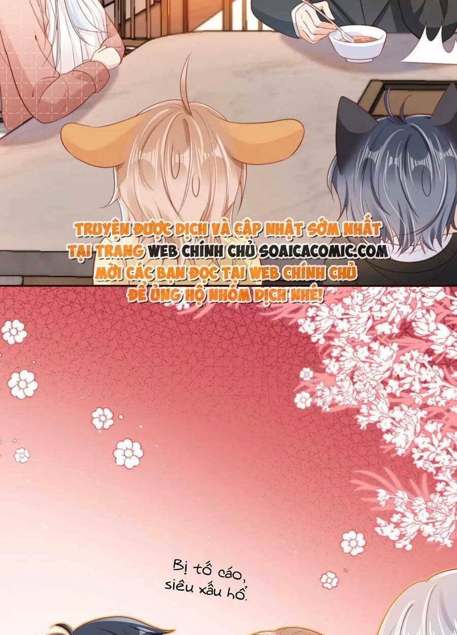 Nam Chính Và Nhân Vật Phản Diện Tôi Nuôi Đều Không Đứng Đắn: Chapter 38