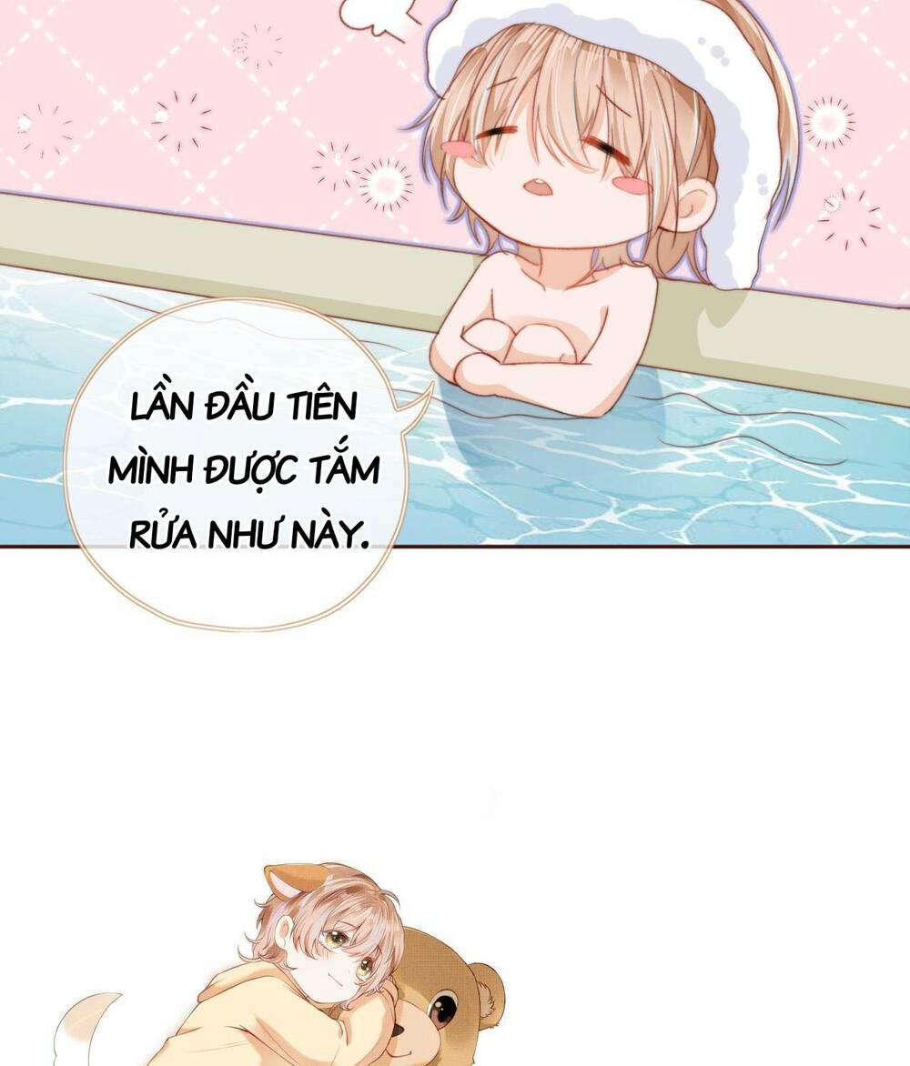 Nam Chính Và Nhân Vật Phản Diện Tôi Nuôi Đều Không Đứng Đắn: Chapter 4