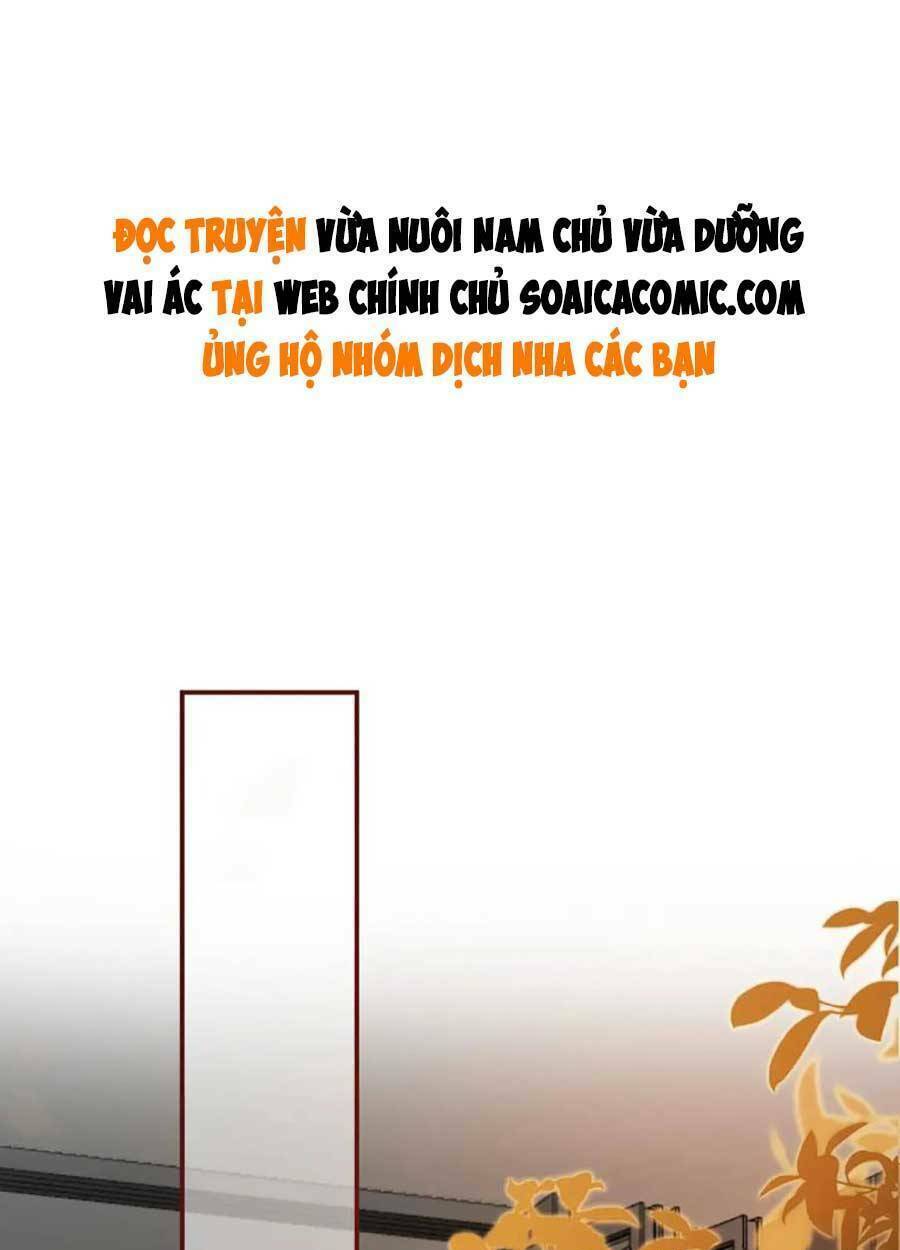 Nam Chính Và Nhân Vật Phản Diện Tôi Nuôi Đều Không Đứng Đắn: Chapter 41