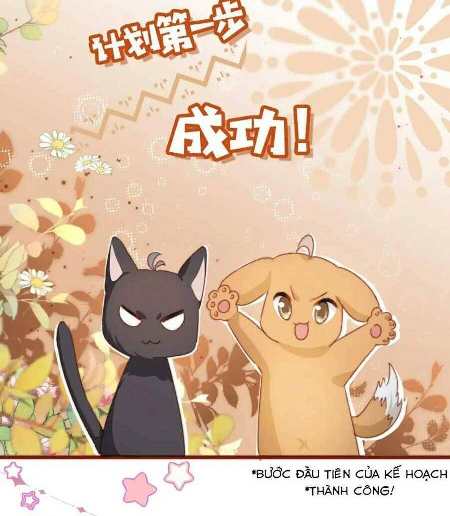 Nam Chính Và Nhân Vật Phản Diện Tôi Nuôi Đều Không Đứng Đắn: Chapter 41