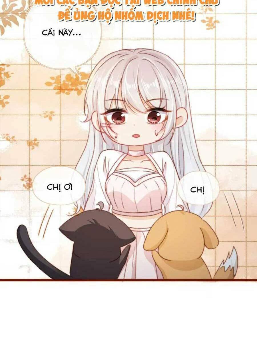 Nam Chính Và Nhân Vật Phản Diện Tôi Nuôi Đều Không Đứng Đắn: Chapter 41