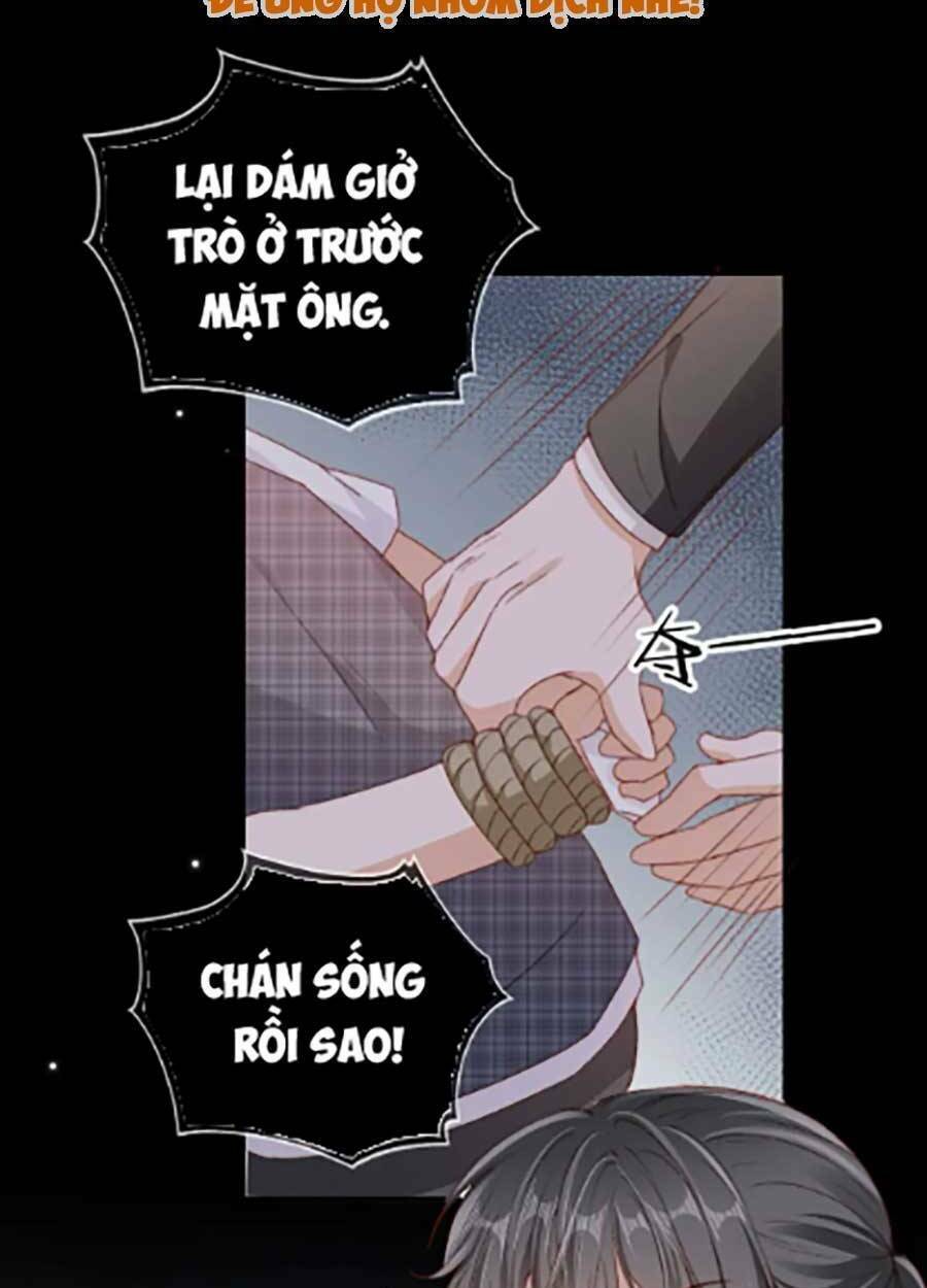 Nam Chính Và Nhân Vật Phản Diện Tôi Nuôi Đều Không Đứng Đắn: Chapter 43