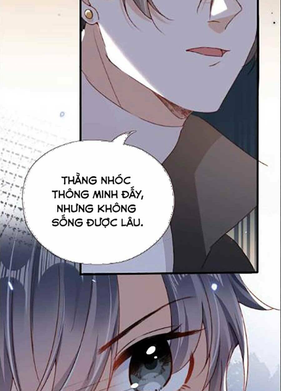Nam Chính Và Nhân Vật Phản Diện Tôi Nuôi Đều Không Đứng Đắn: Chapter 44