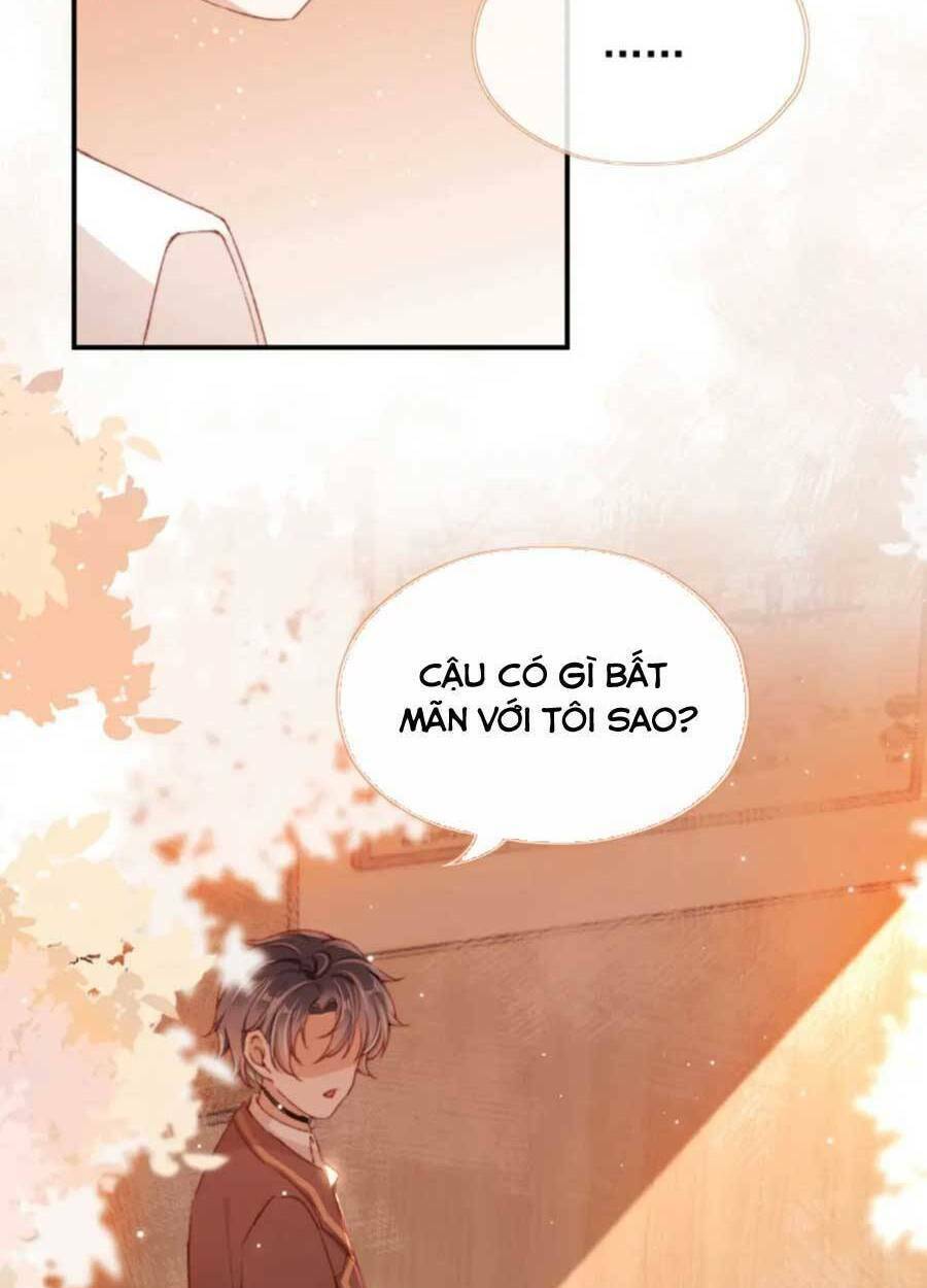 Nam Chính Và Nhân Vật Phản Diện Tôi Nuôi Đều Không Đứng Đắn: Chapter 46