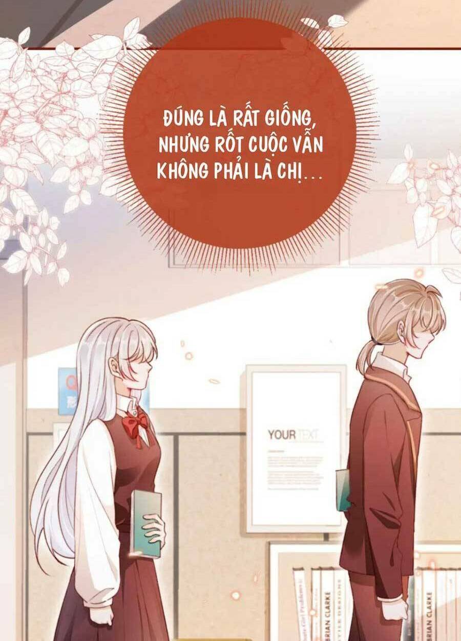Nam Chính Và Nhân Vật Phản Diện Tôi Nuôi Đều Không Đứng Đắn: Chapter 48